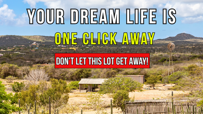 You’ll SCREAM Missing This 0.52 Acre Retirement For Just $49