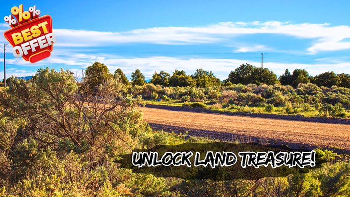 You’re Crazy If You Skip This HUGE 5.03 Acre For Just $99