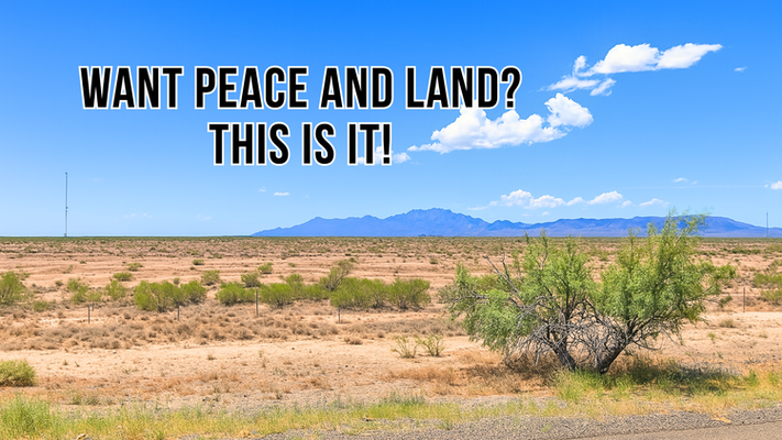 Own 0.54 Acre of Land for Just $49! This Luna Deal Is Unreal