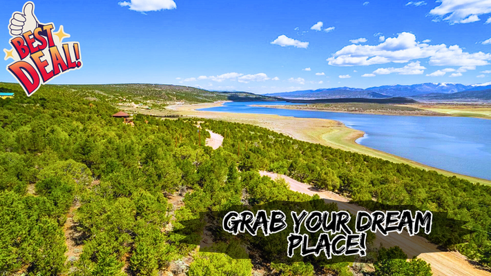 $99 Down Buys You HUGE and RARE 5 Acres – Here’s How